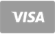 Visa – globalna karta płatnicza do depozytów i wypłat